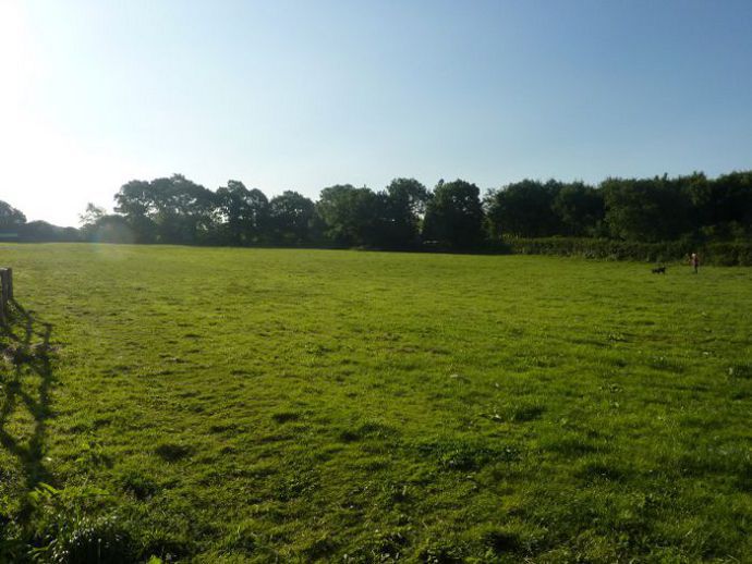 Photos of boarding kennels in Bridgend